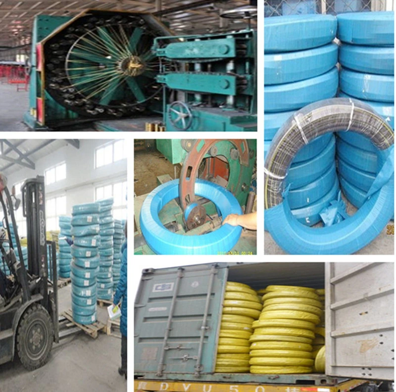 Flexible Metal Hose Flexible Metal Pipe with Ss Wire Covered