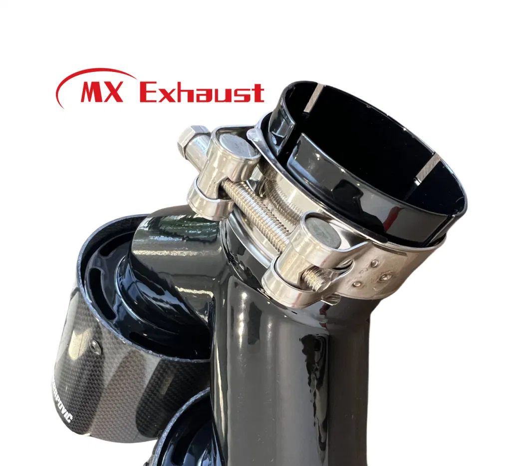 Car Exhaust Pipe Carbon Fiber Exhaust Tip for Universal Muffler Multicolor Stainless Steel End Tips