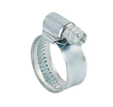 Made in China German Type Hose Clamp Material for W1 W2 W4