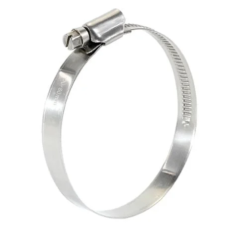 Made in China German Type Hose Clamp Material for W1 W2 W4