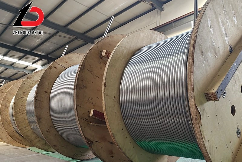 DIN Standard Seamless Waved/Corrugated Stainless Tube High Heat Transfer Rate 304 316L 321 310S Heat Exchange Steel Tube