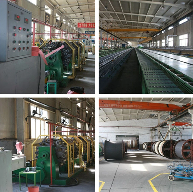 Stainless Steel Flexible Hose Explosion Proof Flexible Tube