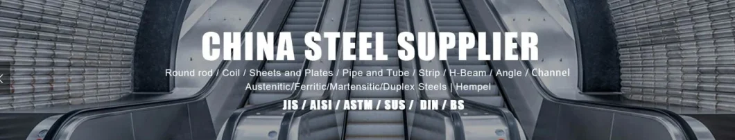 ASTM Grade 304 316 304L 316L 317L 321 347 202 430 Ss Tubing Food Grade 310S 321 Customized Welded Stainless Steel Tube