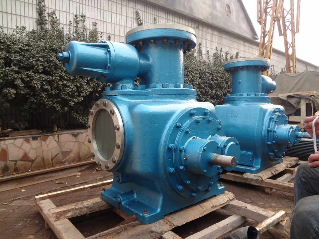 Load and Unload Oil Pump Twin Screw Pump for Heavy Oil