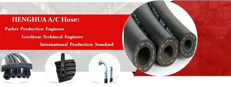 Flexible Auto Extended Mobile Potable Car Air Conditioning Hoses R134A AC Air Conditioner Exhaust Drainage Dual Hose Assemblies