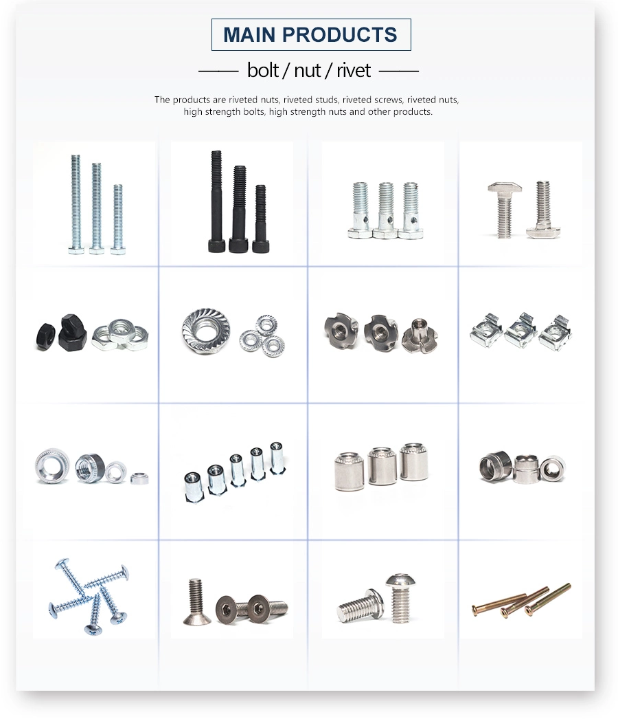 High Quality Customizablehose Clampstainless Steelradiator Hose Clampamerican Hose Clamp