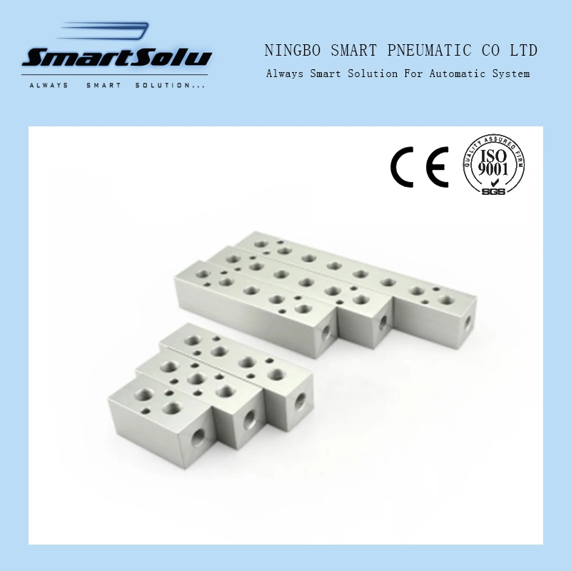 Sml Pneumatic Fittings 1/4&quot; Thread Air Distributor High Pressure Coupling Air Pump Air Distributor Multiple Line Exhaust