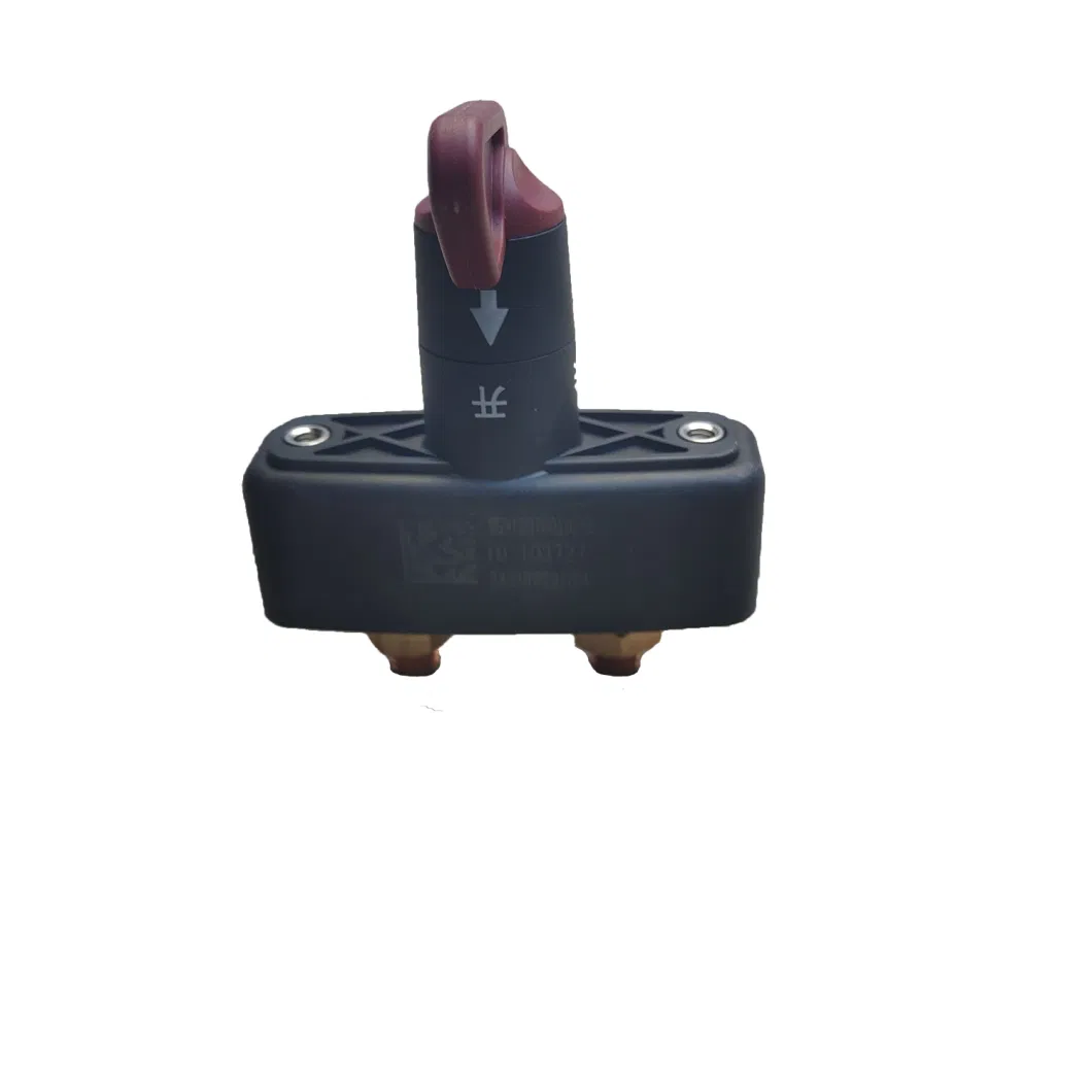 Wg9725540781 Exhaust Pipe/Truck Parts