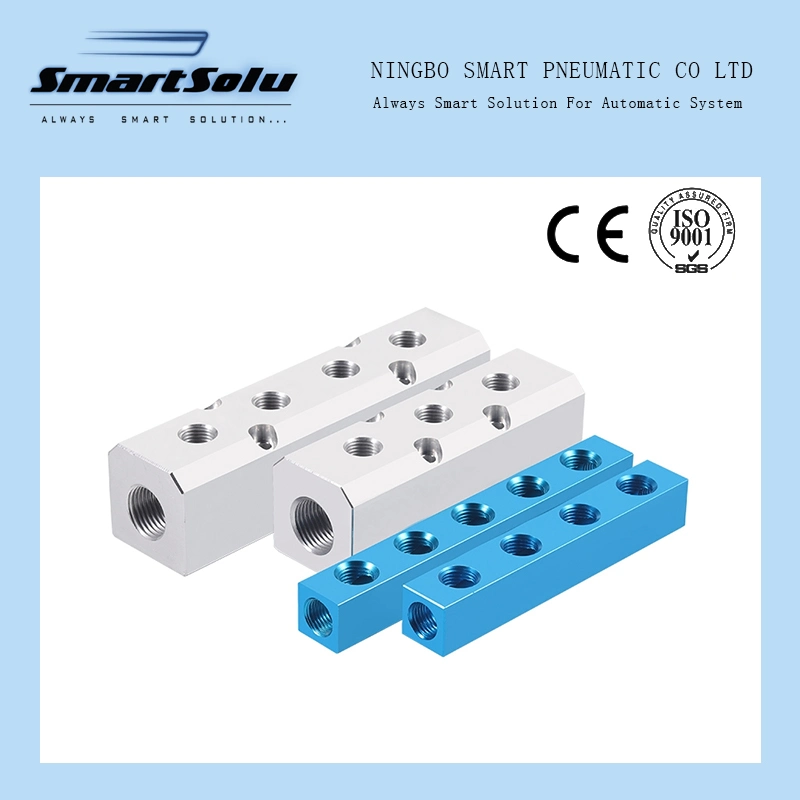 Sml Pneumatic Fittings 1/4&quot; Thread Air Distributor High Pressure Coupling Air Pump Air Distributor Multiple Line Exhaust