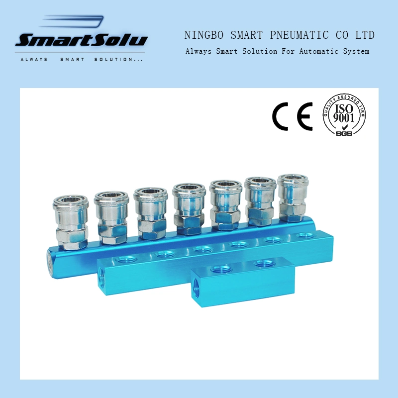 Sml Pneumatic Fittings 1/4&quot; Thread Air Distributor High Pressure Coupling Air Pump Air Distributor Multiple Line Exhaust