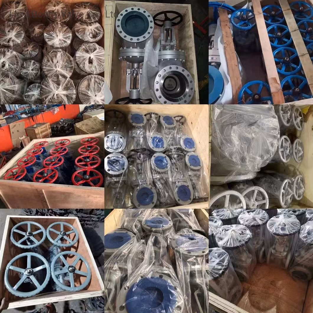 Soft Seated ANSI/DIN/JIS Cast Ductile Iron Lug Butterfly Valve Check Valve Ball Valve Globe Valve