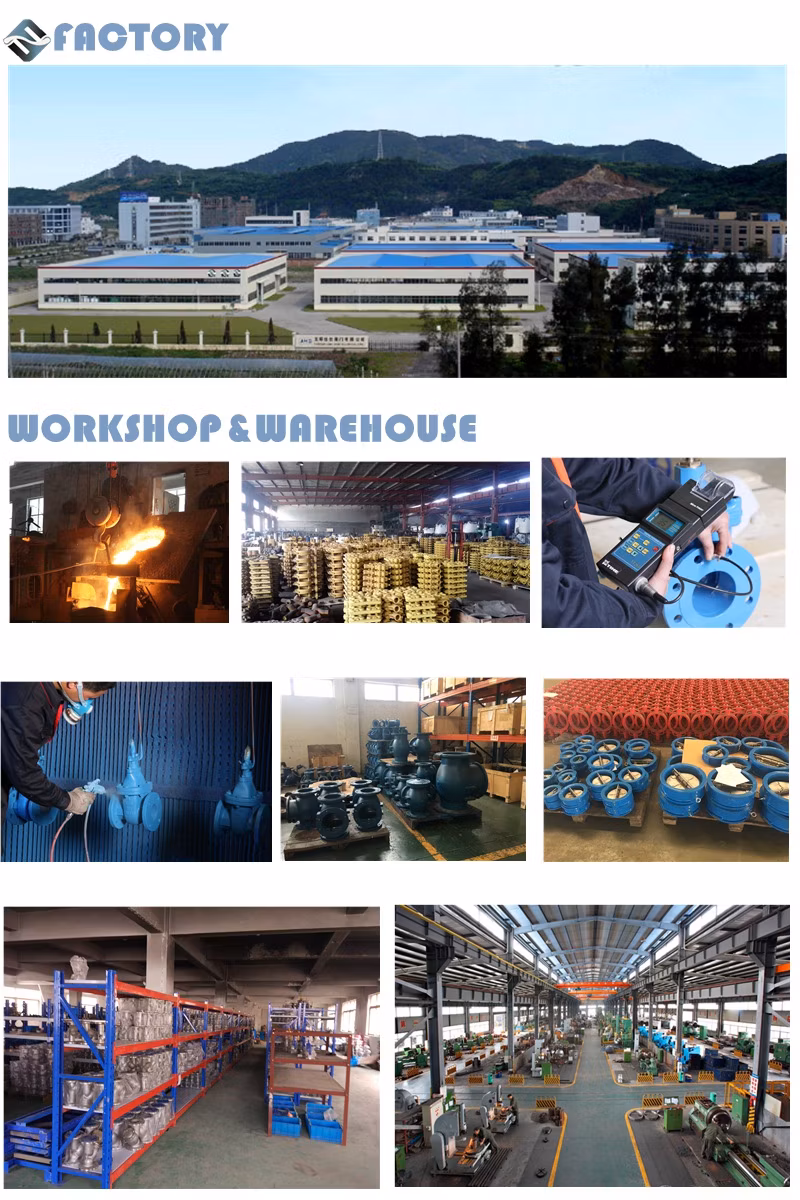 Extended Stem Stainless Steel Ball Valve for Low Temperature Use