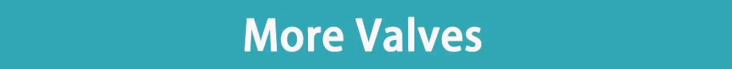 J-Valves Forged Steel A105n/F304/F316 Floating and Rtj Flange Connection Ball Valve