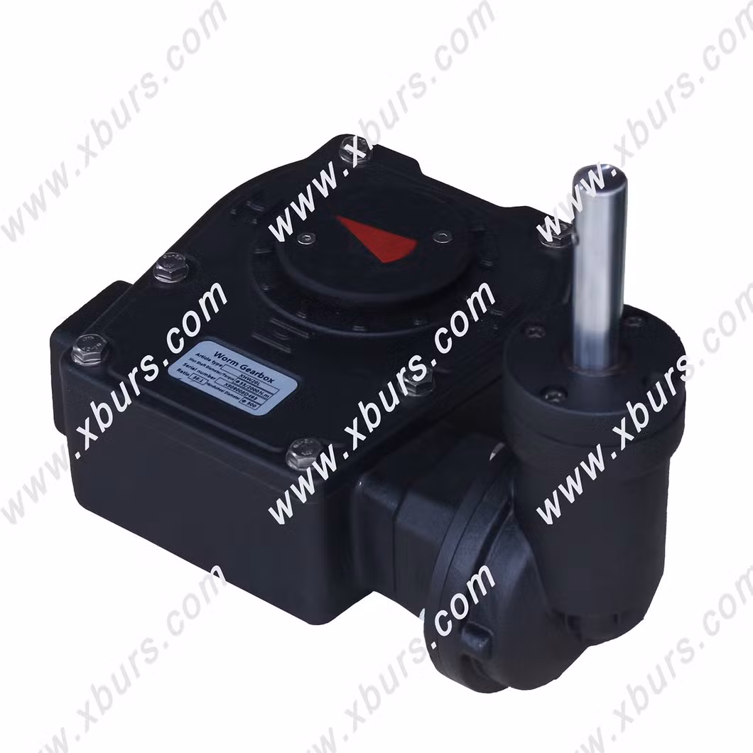 Double-Step Worm Gear Operator for Valve