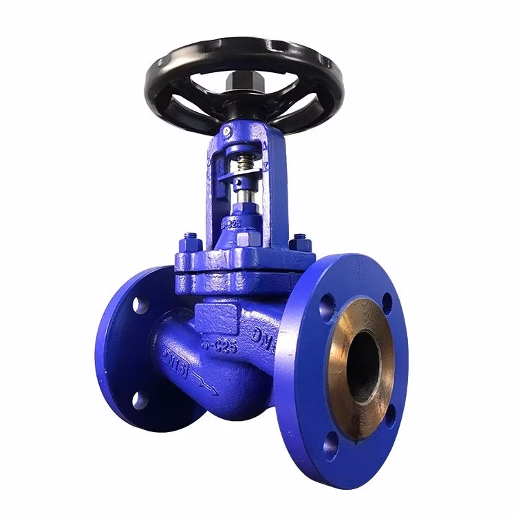 Factory Directly Supply Pn10 DN20 Resilient Seat Flange Cast Iron Rising Stem Soft Seal Stainless Steel Wcb Wedge Gate Valve with Handle Prices
