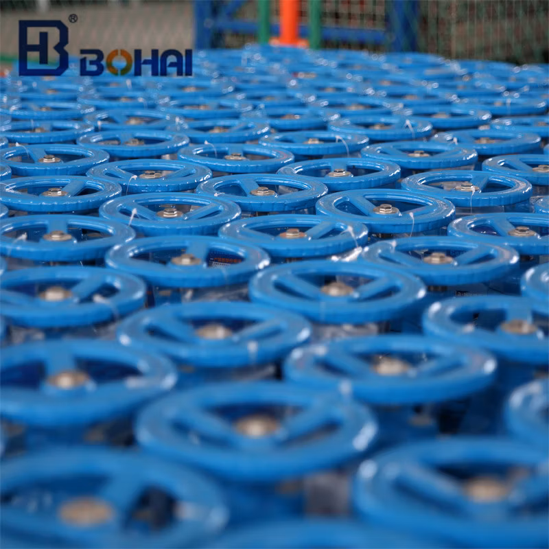 Soft Seal Full Bore Flanged Ball Valve Ducctile Iron Body Ss Ball