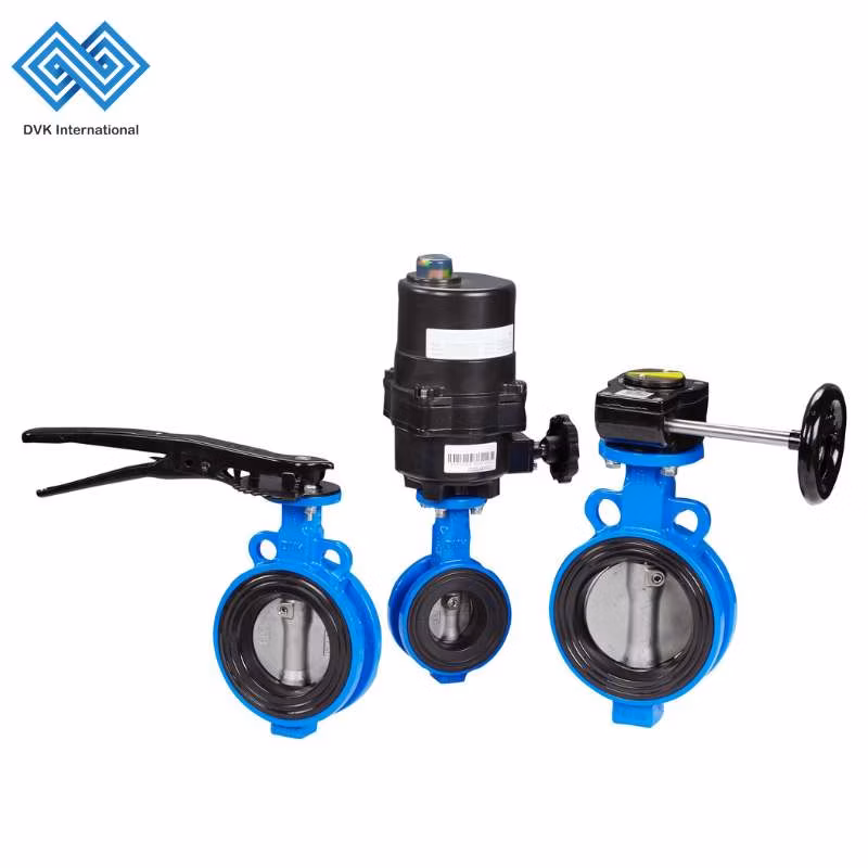 ODM Ductile Iron/SS316 Flange/Double Flange/Lug/Wafer Type Double Offset/Eccentric Control/Ball/Check/Globe/Gate/Butterfly Valve with Electric Actuator