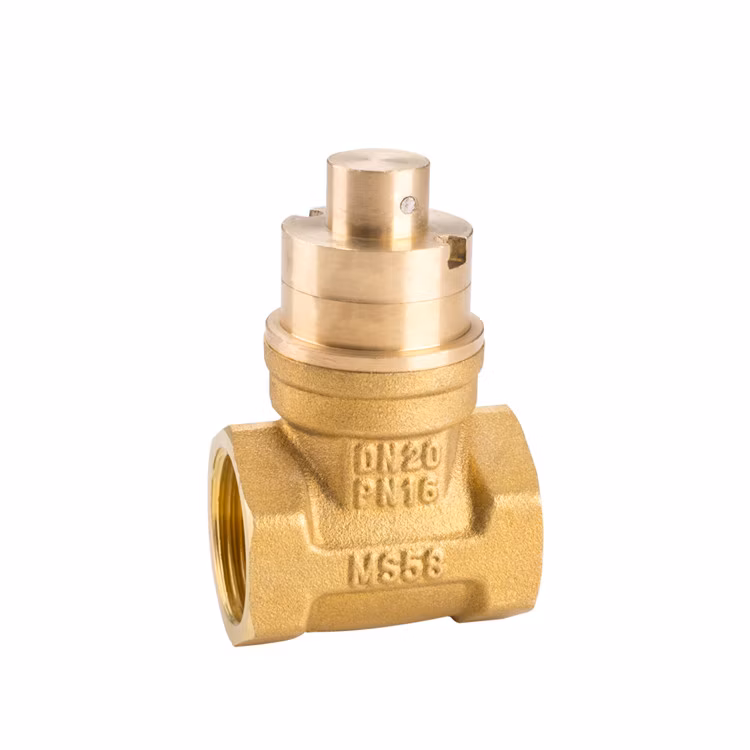 OEM/ODM 600 2000 Wog Control Check Swing Globe Stainless Steel Brass Ball PVC Knife Valve Price Bronze Valve Stop Gate Valve Factory Supplier Wholesale