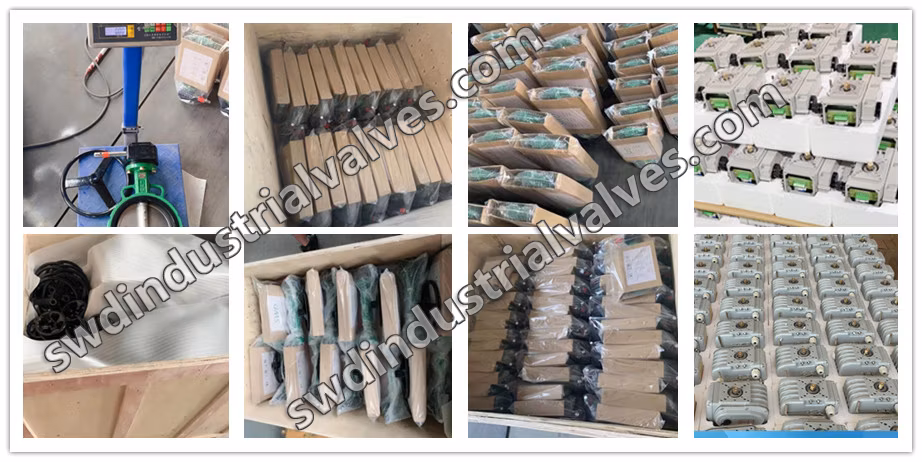 Metal Valve Different Standard Flange Floating Ball Valve