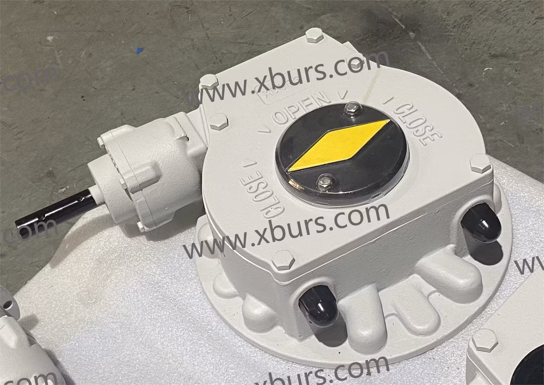 New Mode Xhw52L-Pg2 Double-Step Worm Gear Operator for Valve