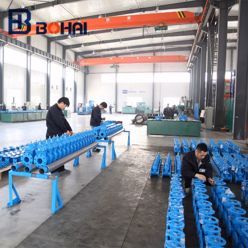 Soft Seal Full Bore Flanged Ball Valve Ducctile Iron Body Ss Ball