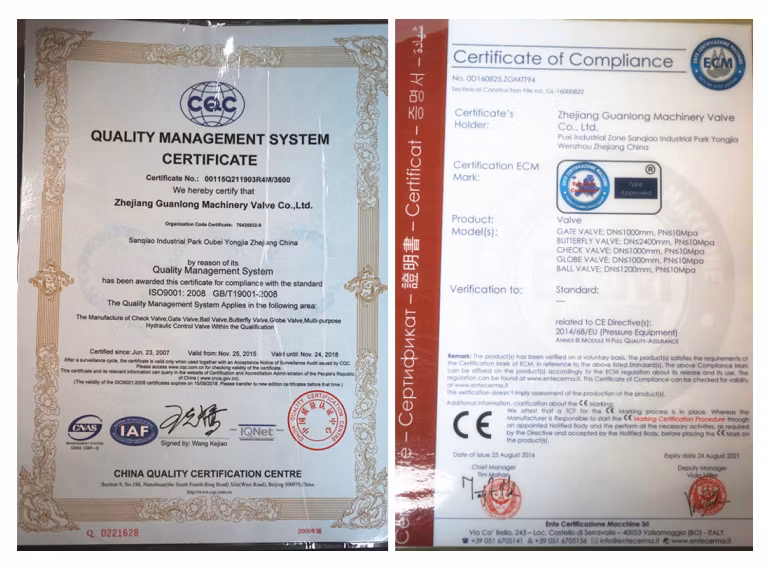 Stainless Steel Float Ball Water Level Control Valve (GL100X)