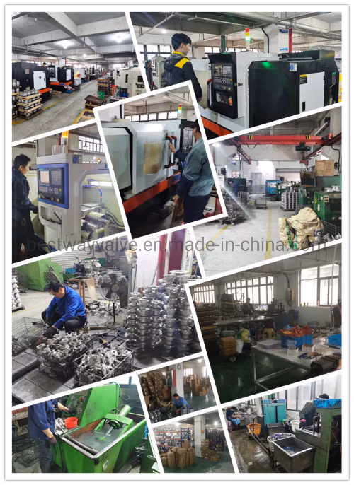 JIS 10K Scs13/304 Scs14/316 Full Port Manual Flanged End Stainless Steel Floating Ball Valves