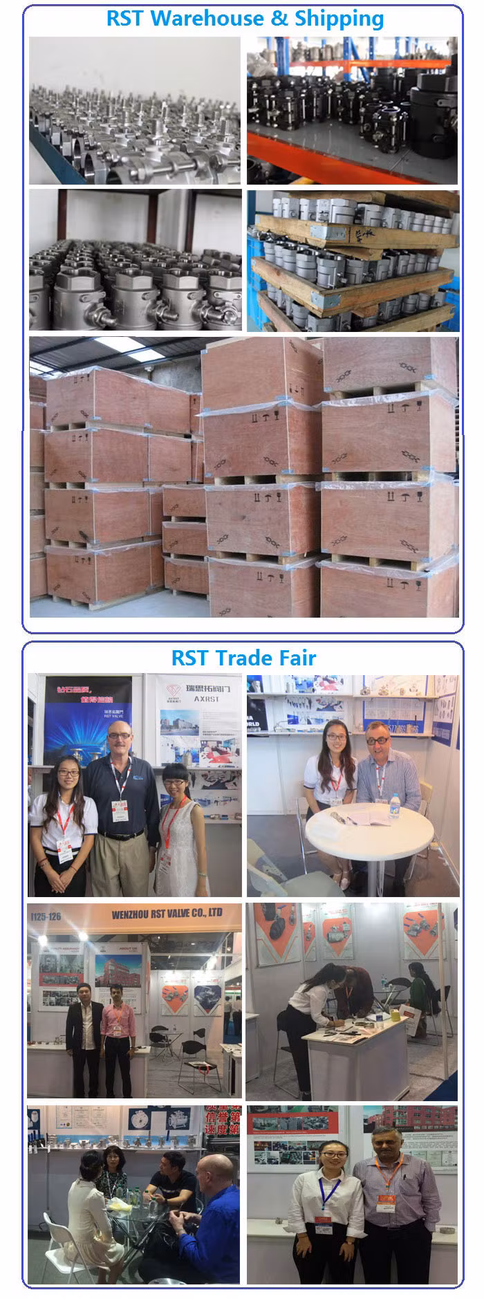 OEM ODM PTFE CF8 CF8m SS304 SS316 Wcb Bronze API ANSI DIN JIS BS Standard Control Swing Check Valve Ball Valve Gate Valve Globe Valve Butterfly Valve Strainer