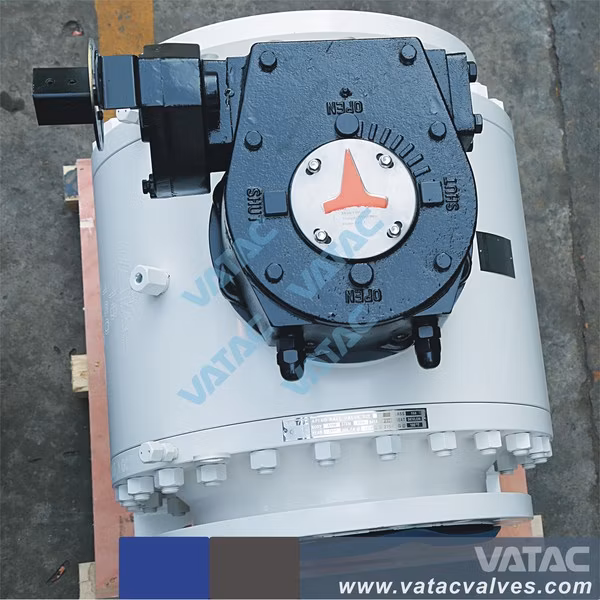 Forged Steel Trunnion Mounted Ball Valve with RF Connection
