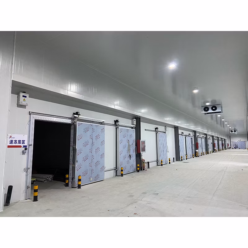 Food Storage Cold Room Freezer Room Self-Repairing High Speed PVC Door