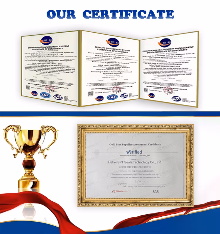 Vee Packing Seal for Butterfly Valve of Hydropower Station/Valve Seat Seal/Fs Seal