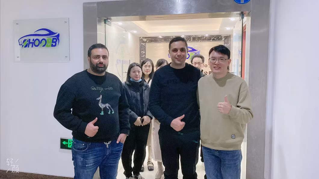 Geely YingHe E5 Electric Cars With RHD Right Hand Drive for Dealership