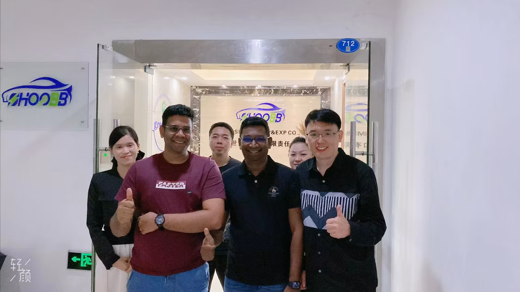 Geely YingHe E5 Electric Cars With RHD Right Hand Drive for Dealership