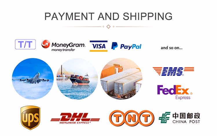 Zhejiang Factory Custom Made Colored Printed Carton Corrugated Shipping Box with Logo