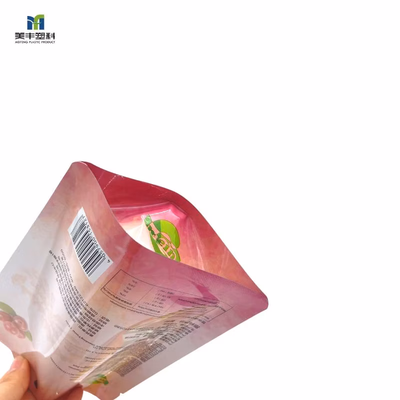 Custom Gravure Printing Aluminum Foil Snack Chips Nut Packaging Hang Hole Zipper Stand up Pouch Doypack