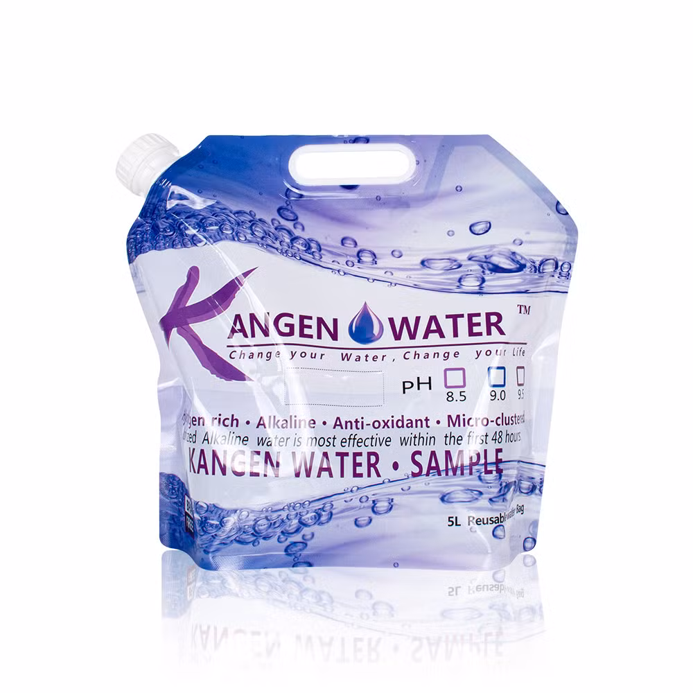 Factory Direct Custom Printing 200ml 500ml 1L 2L 3L Packaging Stand up Spout Pouch with Handle