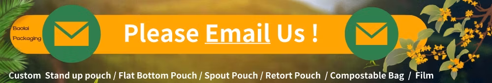 Eco Friendly Customized Print 300g Packaging Bag Recyclable Chip Stand up Pouch Snack Bag
