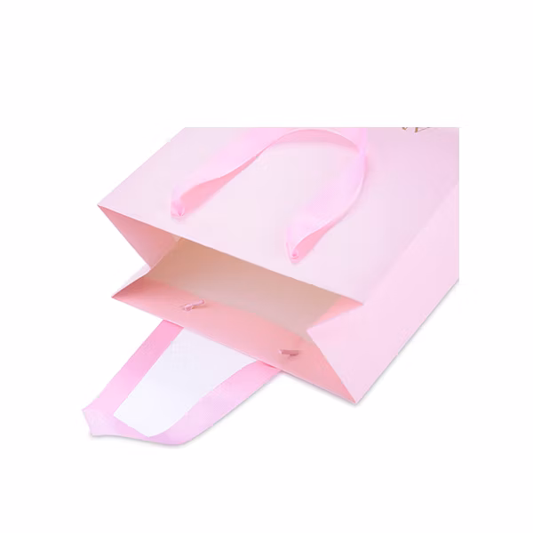 Custom Made Printed Cheap Promotional Paper Gift Bag Packaging Manufacturer