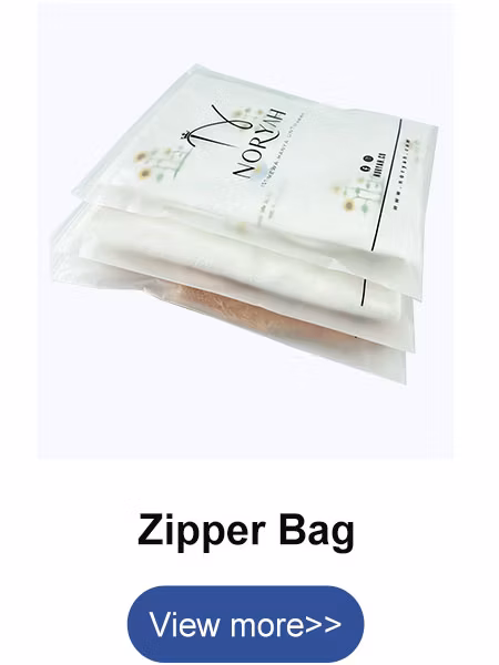 Custom Logo Printing Standing Zip Lock Kraft Blank Chips Snack Paper Bag