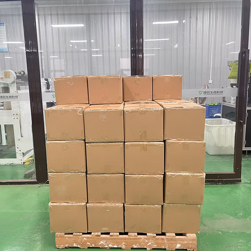 Wholesale 100% Biodegradable Compostable Eco-Friendly Plastic Shopping T-Shirt Bags
