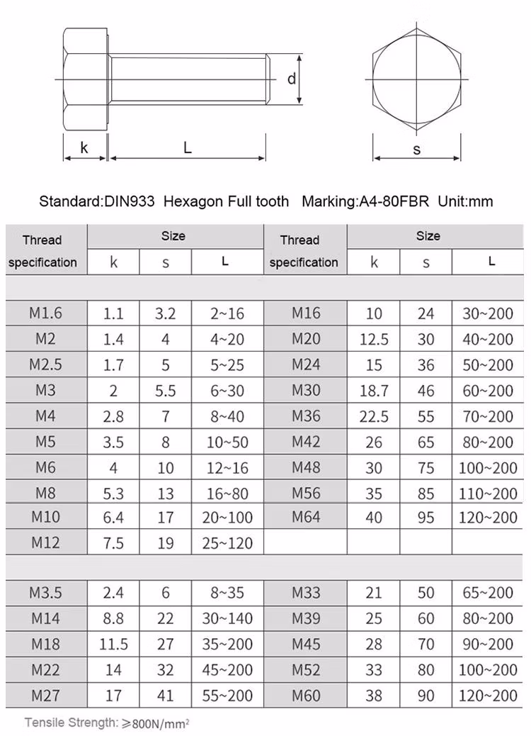 Chinese Supply 304 Stainless Steel U Type Lock U Bolt with Hot Galvanized