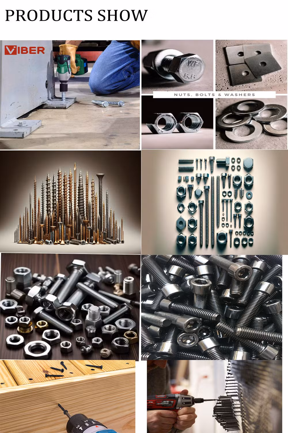 SS304 Thread Concrete Screw Anchor Bolt Threaded Rod Hanger Bolt for Construction