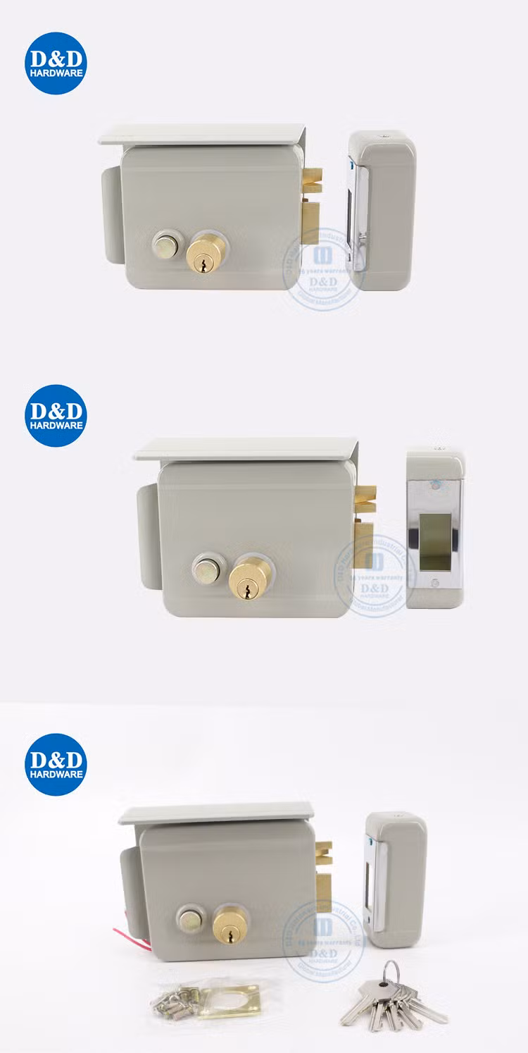 Steel Iron Material Lock Set Brass Electric Cylinder Lock Body China Manufacturer Motorized Privacy Rim Lock Guangdong Electronic Door Lock with Keys