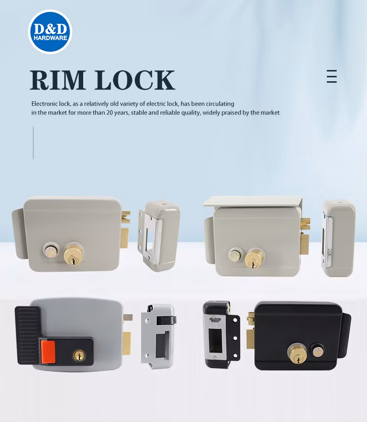 Steel Iron Material Lock Set Brass Electric Cylinder Lock Body China Manufacturer Motorized Privacy Rim Lock Guangdong Electronic Door Lock with Keys
