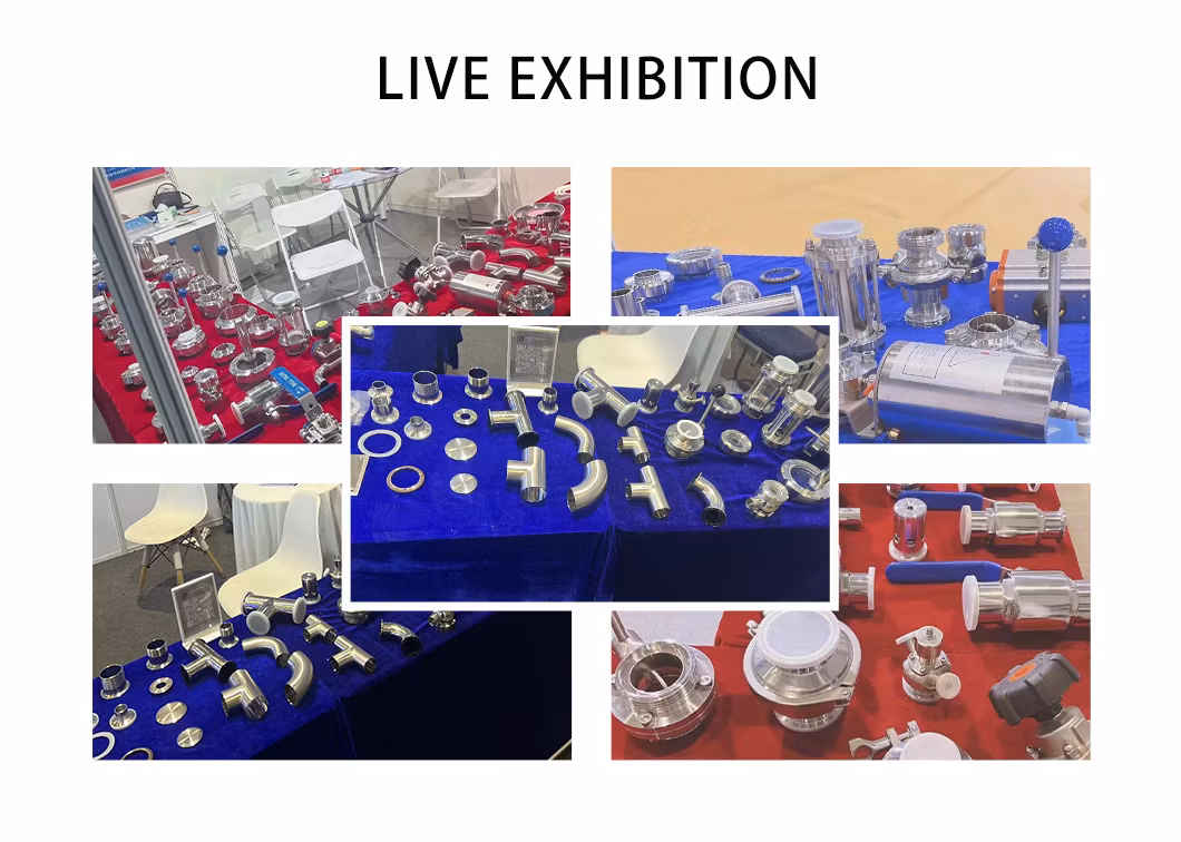 Stainless Steel Hygienic Sanitary Angle Type Pipeline Inline Strainer Filter