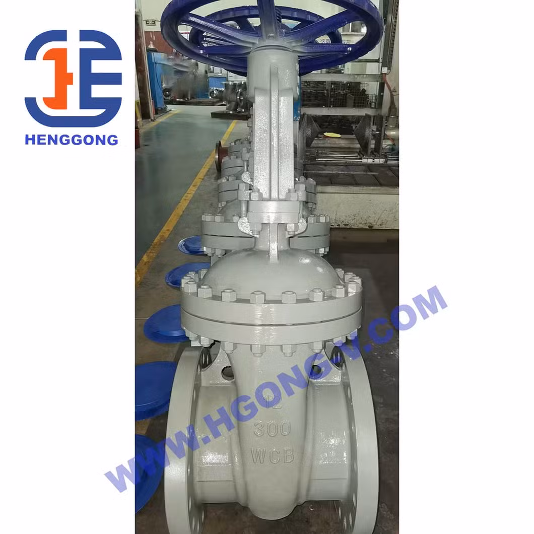 API DIN JIS 10K 150lb 300lb Stainless Steel 304 316 30 Mesh Strainer Y-Type Strainer Filter for Water