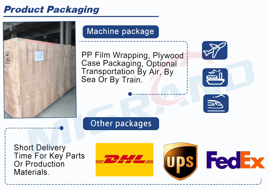 Optional Metal Detector and Connection Vertical Capsule Polish Sorting Machine