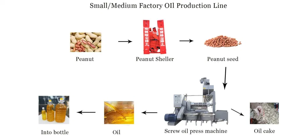 Large Capacity Screw Coconut Mustard Canola Palm Cold Oil Expeller Oil Presser Oil Mill Machine