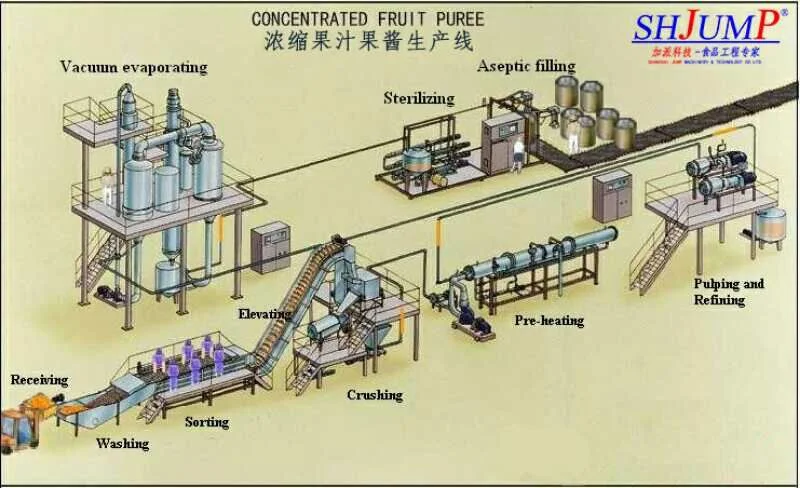 Sugarcane Juice Processing Machine/Sugarcane Juice Extracting Machine/Sugarcane Juice Bottling Line/Sugarcane Juice Filling Line/Sugarcane Syrup Machine