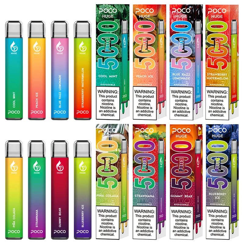 Wholesale Big 5000 Puffs E-Cig 15ml Fruit Flavors Disposable Smoking Vapes with Mesh Coil